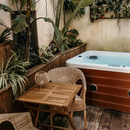Appartement Myinsolite - Cocon Tropical, Jacuzzi, énigme Vauvert