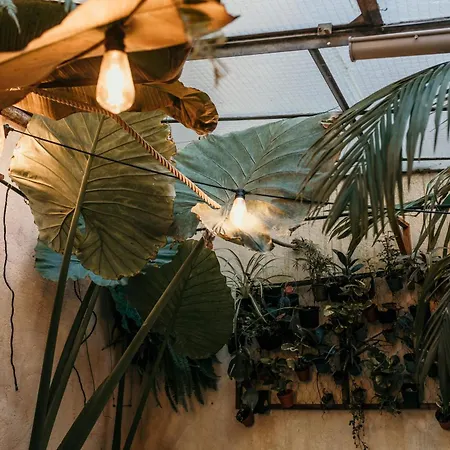 Myinsolite - Cocon Tropical, Jacuzzi, énigme